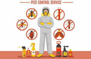Looking for reliable pest control? Our expert service eliminates all common pests like flies, mosquitoes, roaches, ants, moths, and centipedes. Safe and effective pest extermination.