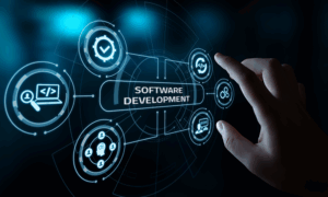 custom software development