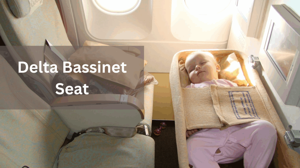 Delta Bassinet Seat