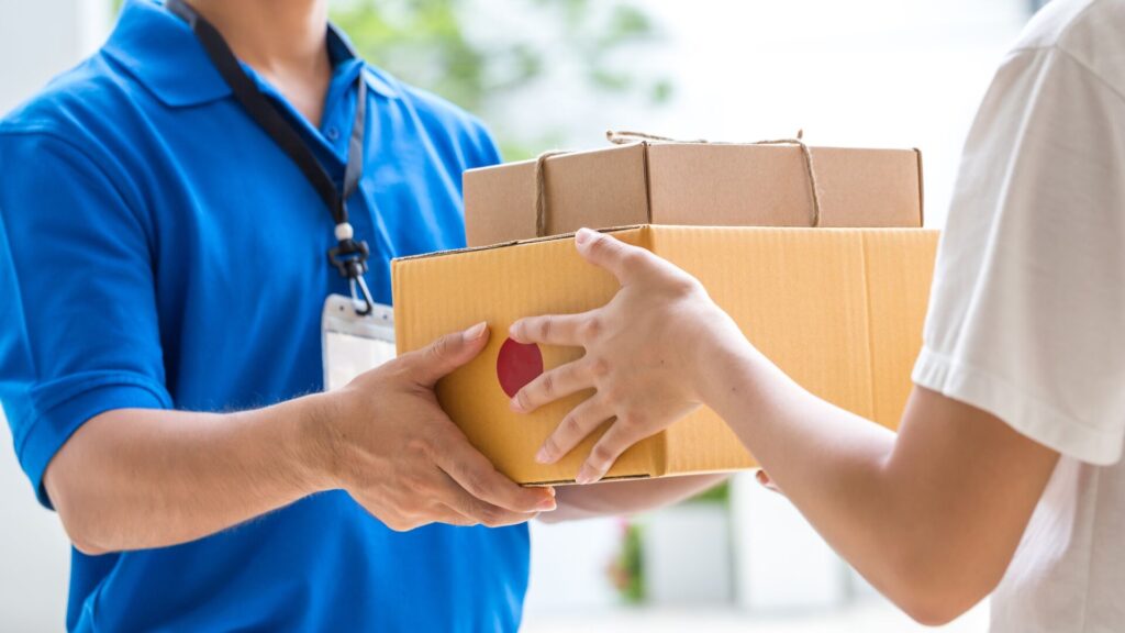 Domestic Courier Services