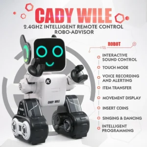 Educational robot toy