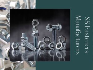 SS Fasteners Manufacturers