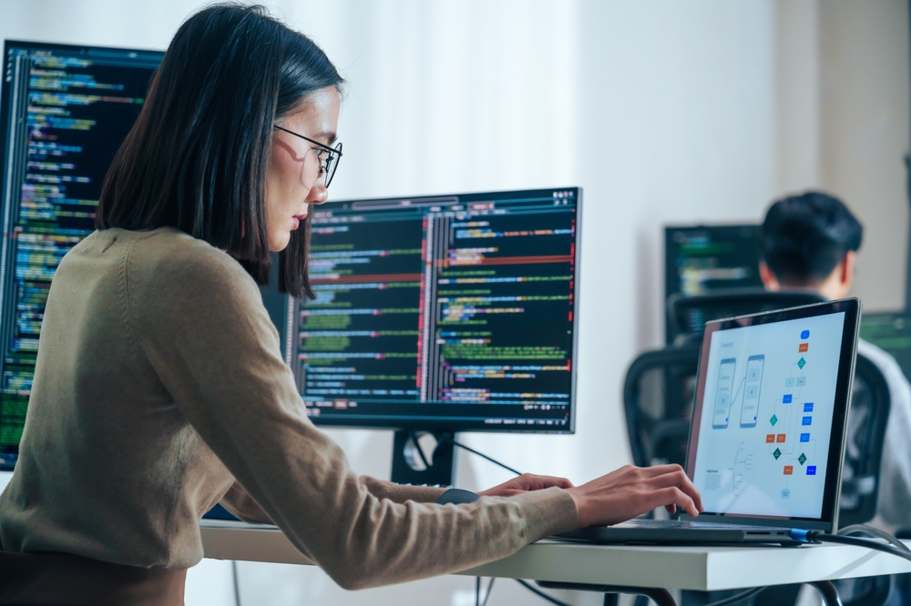 software developer
