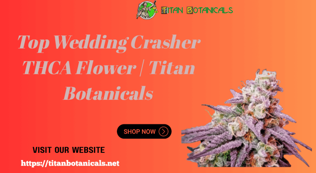 Buy Wedding Crasher THCA Flower