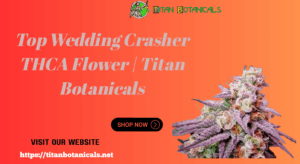 Buy Wedding Crasher THCA Flower