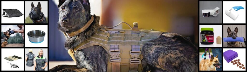 Dog Training Gear
