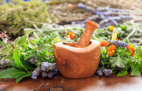 Herbs and Plants