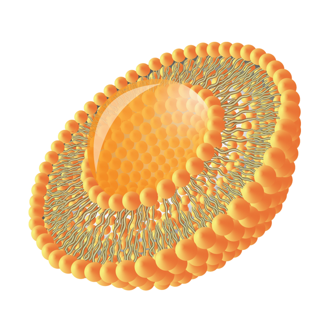 Liposomal Vitamin C Manufacturers