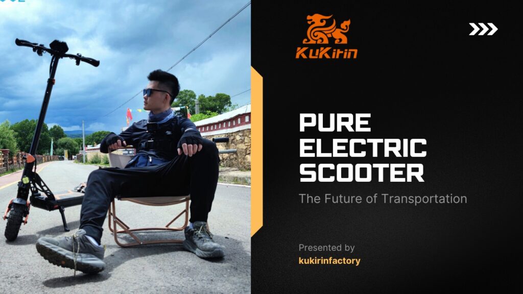 Pure Electric Scooter