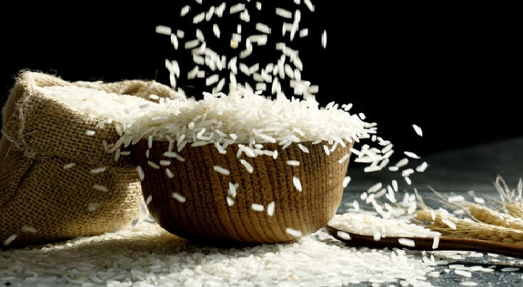 india rice exporters