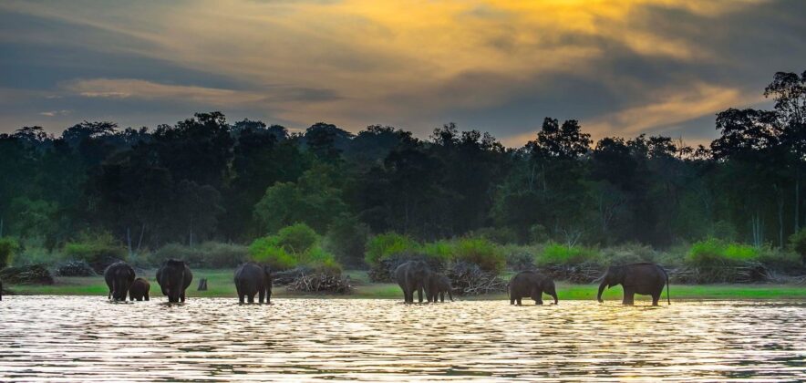 kabini travel guide